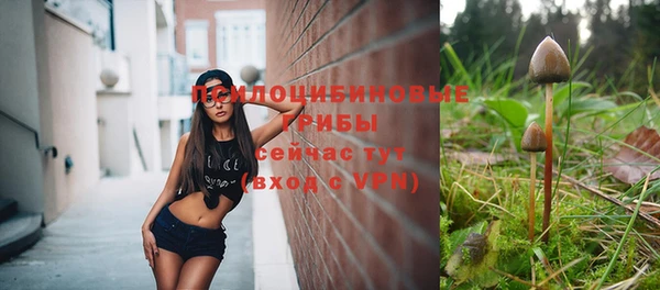 MDMA Premium VHQ Зеленодольск