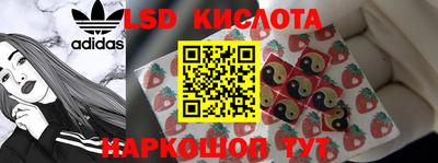 дмт Камышлов