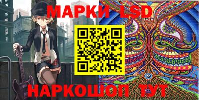 дмт Камышлов