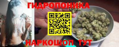 мдпв Кандалакша
