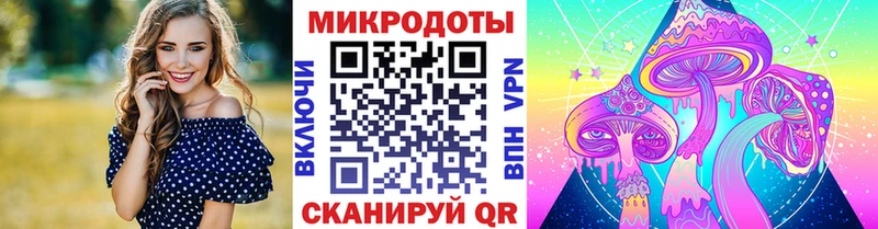 гидра ссылка  Кудрово  Псилоцибиновые грибы GOLDEN TEACHER 