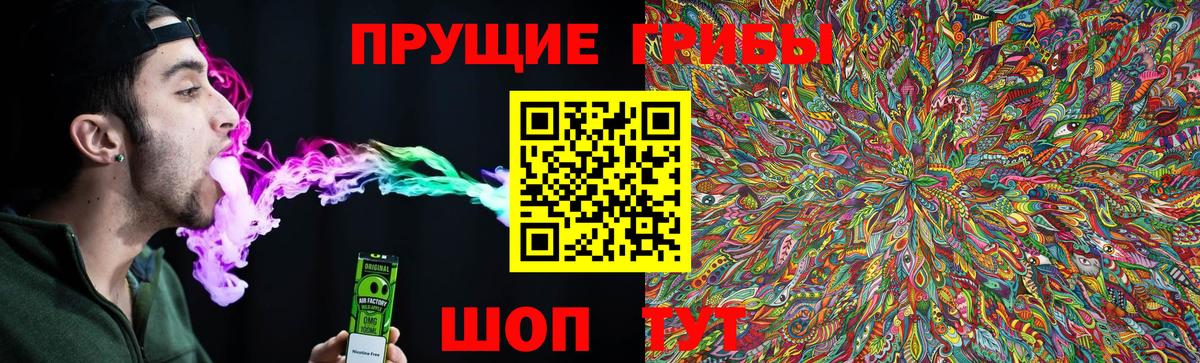 Псилоцибиновые грибы Psilocybe Кудрово