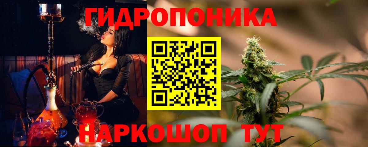 Шишки марихуана семена  Каннабис семена  Вход с VPN  Бошки марихуана план  Кудрово 